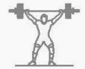 Light Weight